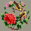 vui_ve_hong_quao_nhe