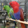 fazal_khan2255