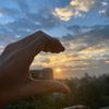 roja_441
