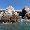 arqueolojo