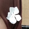 secret_ipt