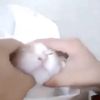 catmonsuirr
