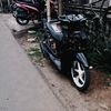 irgi_231