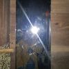 asifazahra393