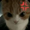 aashika_rai5