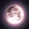 defari_1409
