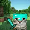 zuz4nk4