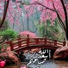 majed.aldawood3