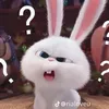 nosinhieuefvl