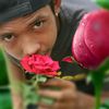 bahagiae