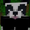 panda_exe4