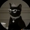 kurooo_chi