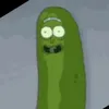 picklerick861