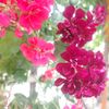 hedayatullah.ahma1