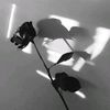 used.0011
