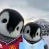 17.pingui