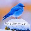 karnfal.com