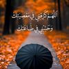 user18787455742816