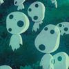 kodama_myco