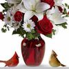 jasmine.gonzalez63