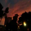 rifgrand_