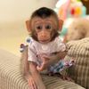 Baby amora