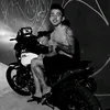 dapaz.cjc