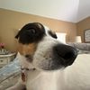 yournotsofavcharlotte_