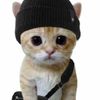 meow.meow4689