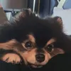 awwwwww514