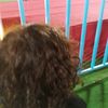 user35553050963528
