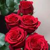 user2831252151526