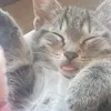 cumywumy6