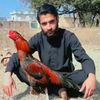 usama.jafri