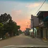 Con chồn ngồi cạnh con nai🪳