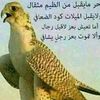user6207285811310