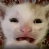 hakmosako