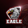 eagle_679