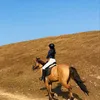 theobaldbryanpw42