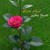 user4215293481581