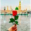 marvi.malik59
