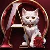 amanyelamir77