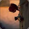 .asenat17