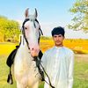 raja.moheed1
