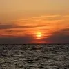 jfxtzy0