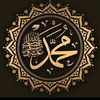 malik.malik8141