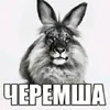 lizka2010z