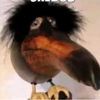 osobennyi341