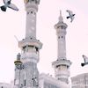 Mohammed