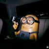 duque_zp